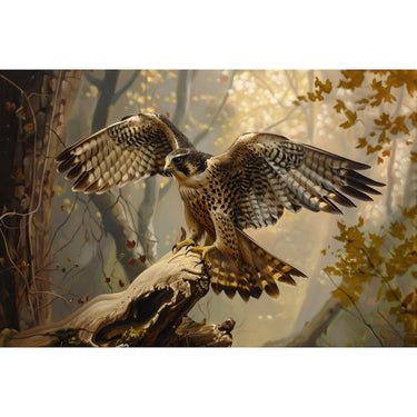 Falcon Canvas
